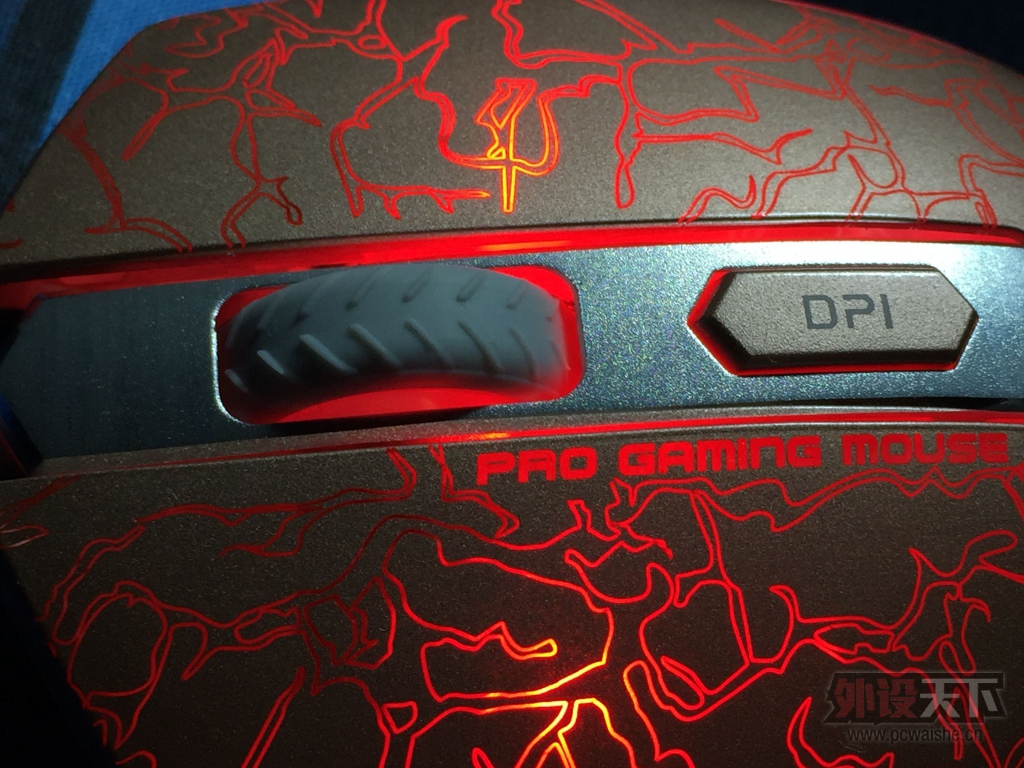 �Ƽ�����ò�Ľ�ϡ����������ſ�ק֮�ҵ��װ�V210