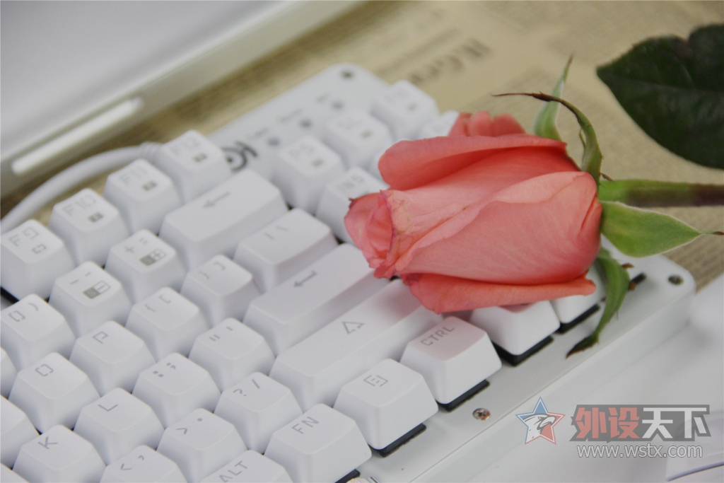 ��ɫ���˽ڣ���������������ҵ���������~~