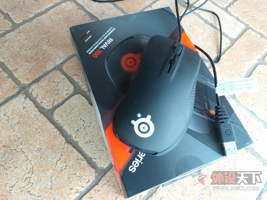 [���/�߼�] [�ѳ�] ���㶫����ɫRival 300 1�µ׹���ĳ��  �ѽ���