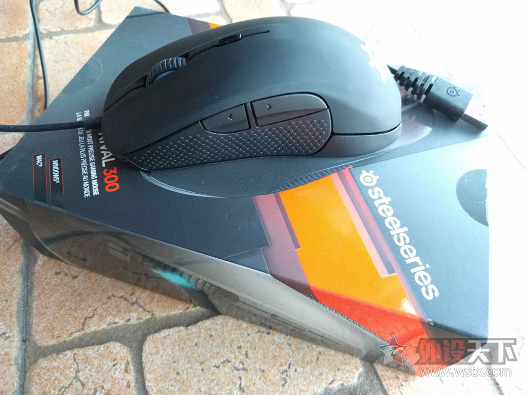 [���/�߼�] [�ѳ�] ���㶫����ɫRival 300 1�µ׹���ĳ��  �ѽ���