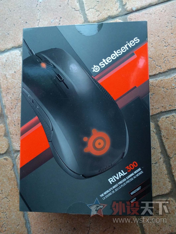 [���/�߼�] [�ѳ�] ���㶫����ɫRival 300 1�µ׹���ĳ��  �ѽ���