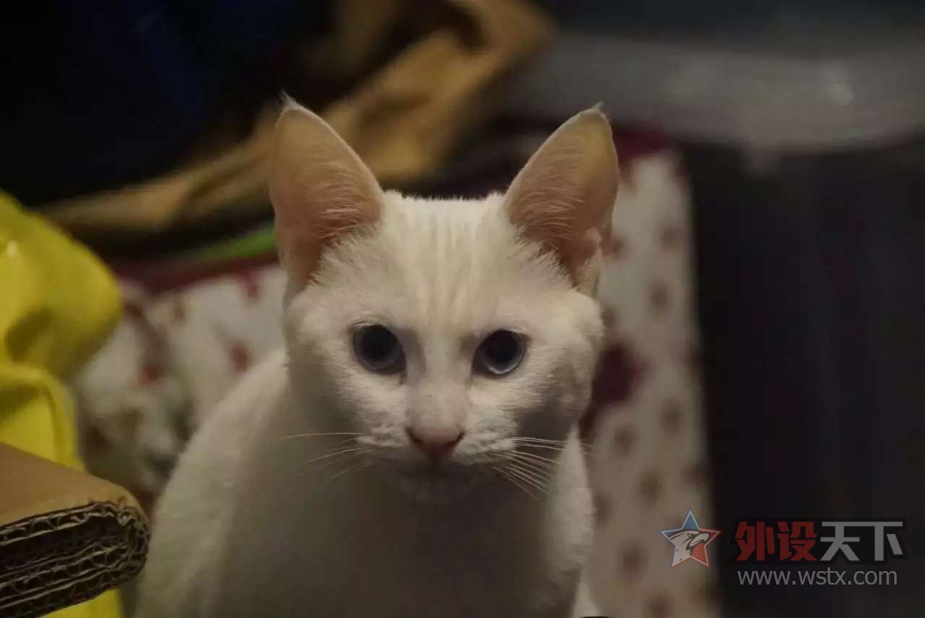 �Դ��������ǣ���������