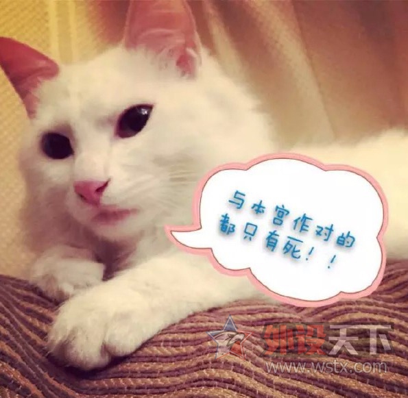 ��ɹ�ȳ�+��������߽�����gei��