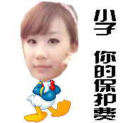 ��ɹ�ȳ衿��Ҳ������Сè���������