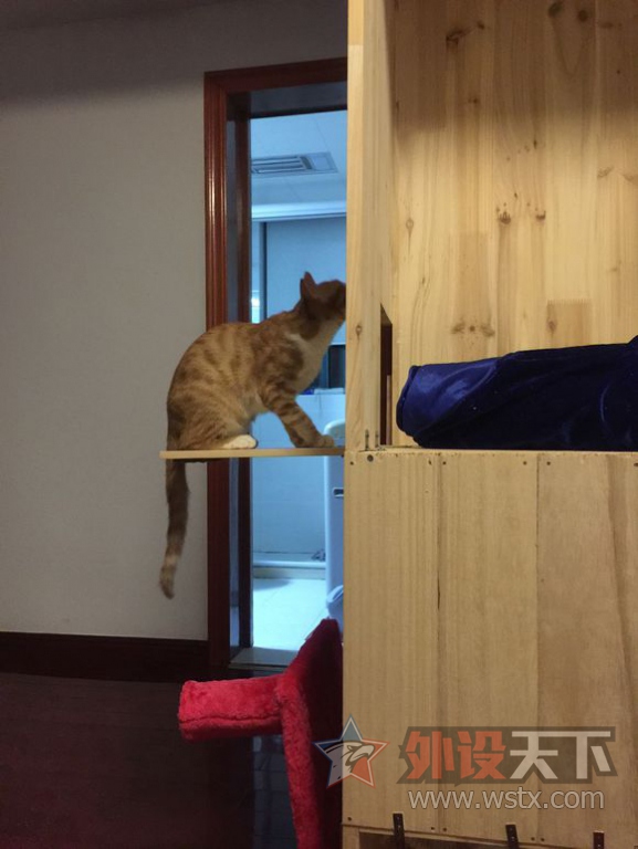 �����ֹ����ƣ���Ҫ�ü����֣�����ͼɱè��