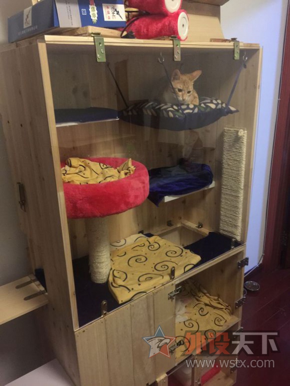 �����ֹ����ƣ���Ҫ�ü����֣�����ͼɱè��