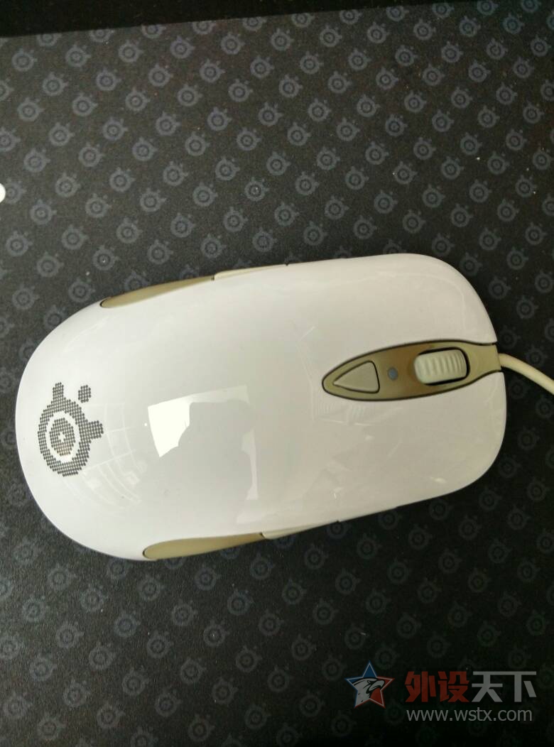 ���Ϻ������������sensei���