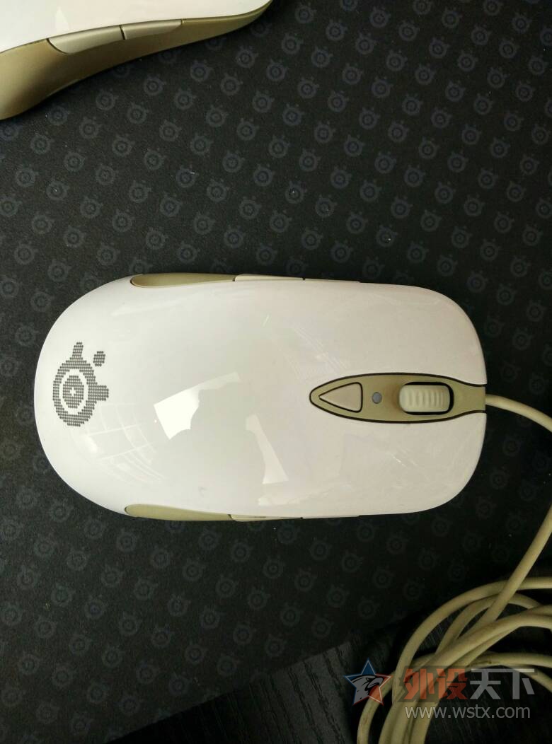 ���Ϻ������������sensei���