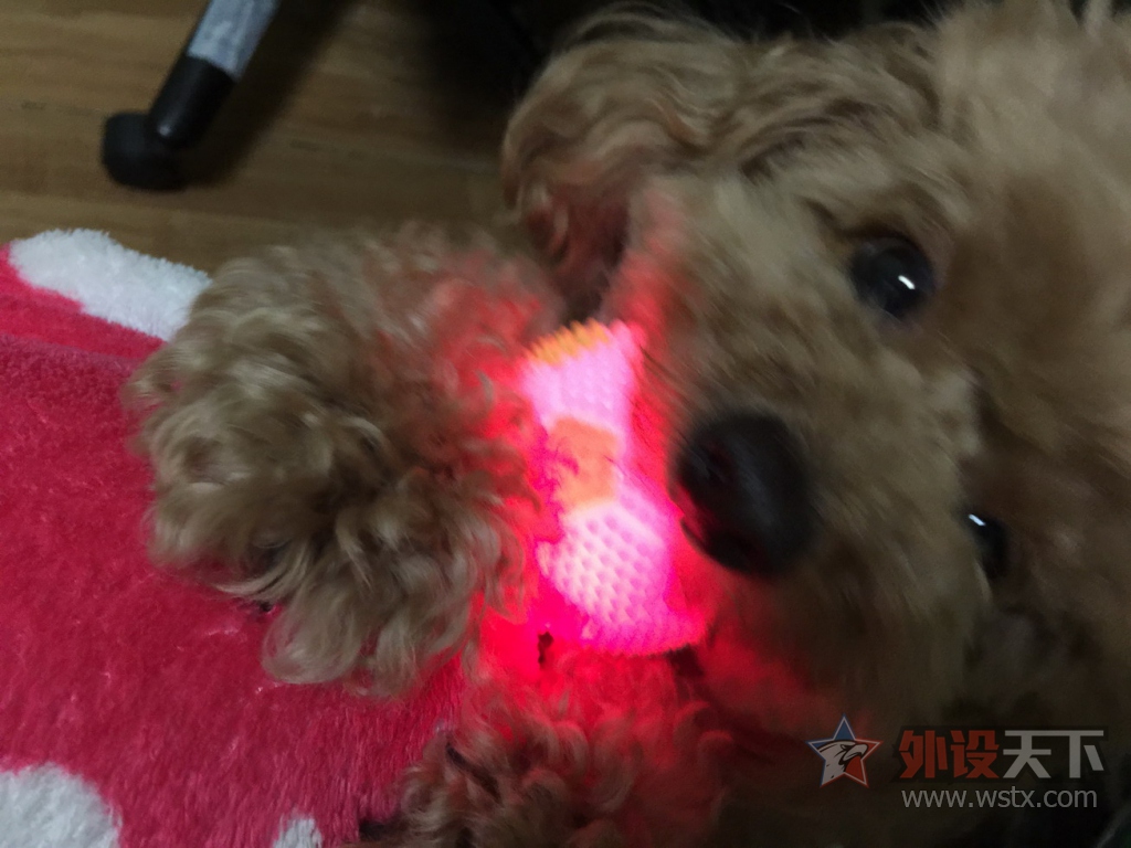 ��ɹ�ȳ衿�Ҽҵ�Q7�Ǹ��ɰ���������