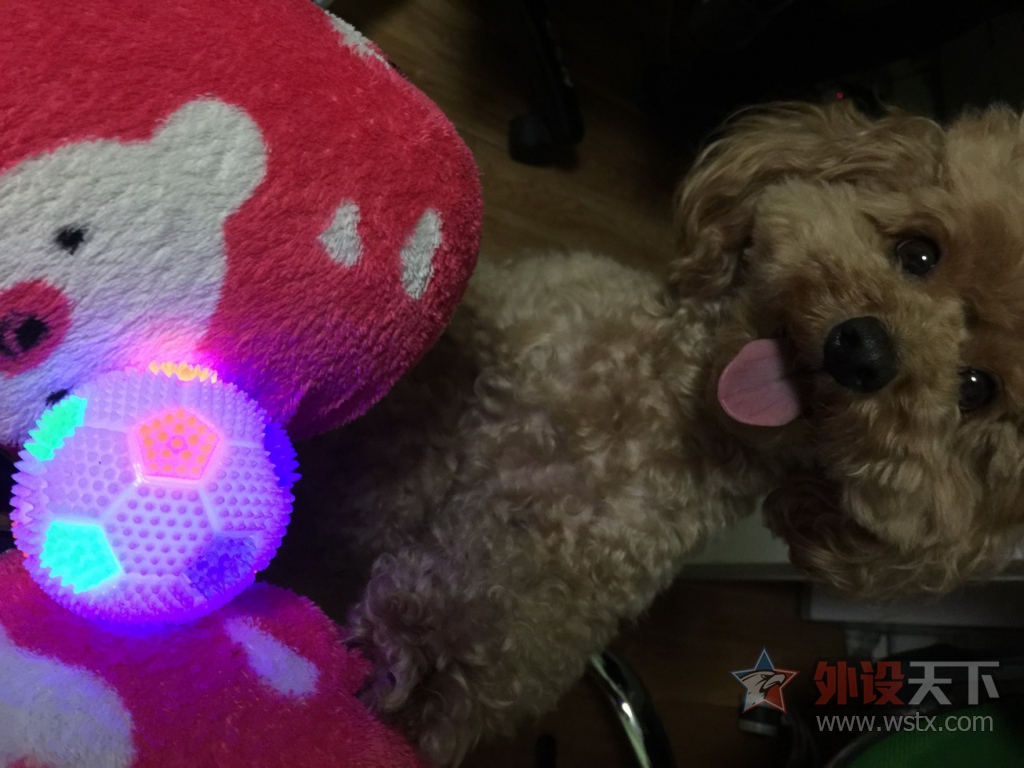 ��ɹ�ȳ衿�Ҽҵ�Q7�Ǹ��ɰ���������
