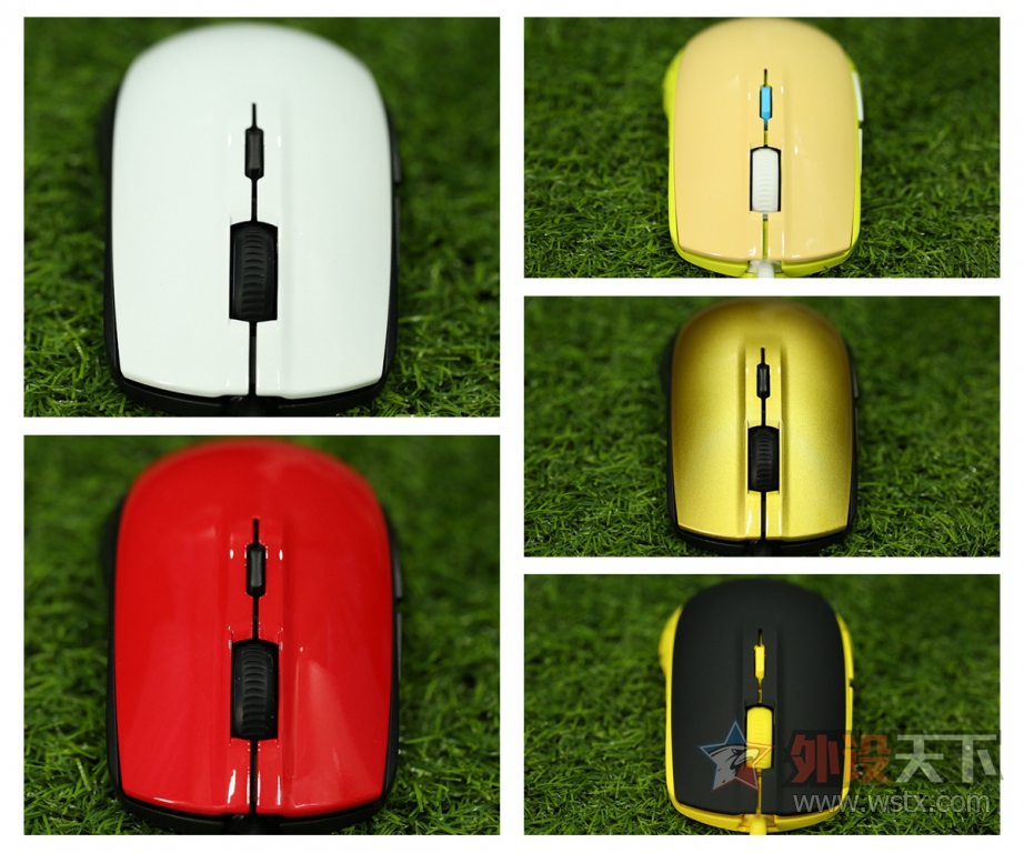 ���Rival 100 ������ɫ�汾ͼ��