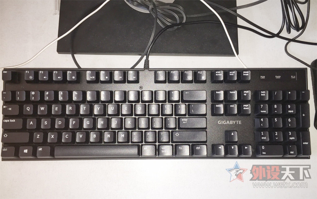 (GIGABYTE) FORCE K83 cherry 