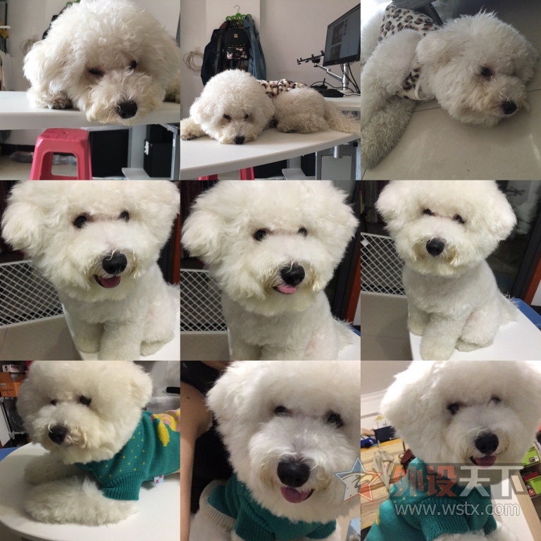 ��ɹ�ȳ�+���µ�һ��Ƥ��---���ճ���
