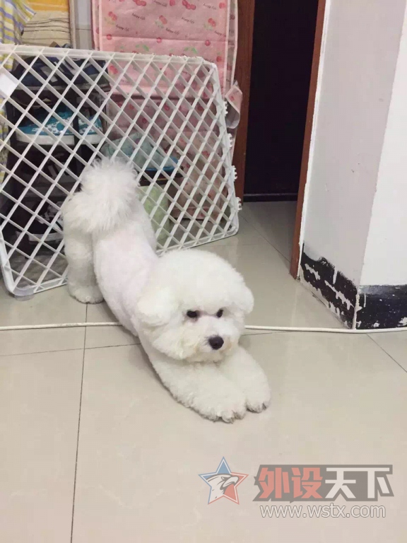 ��ɹ�ȳ�+���µ�һ��Ƥ��---���ճ���