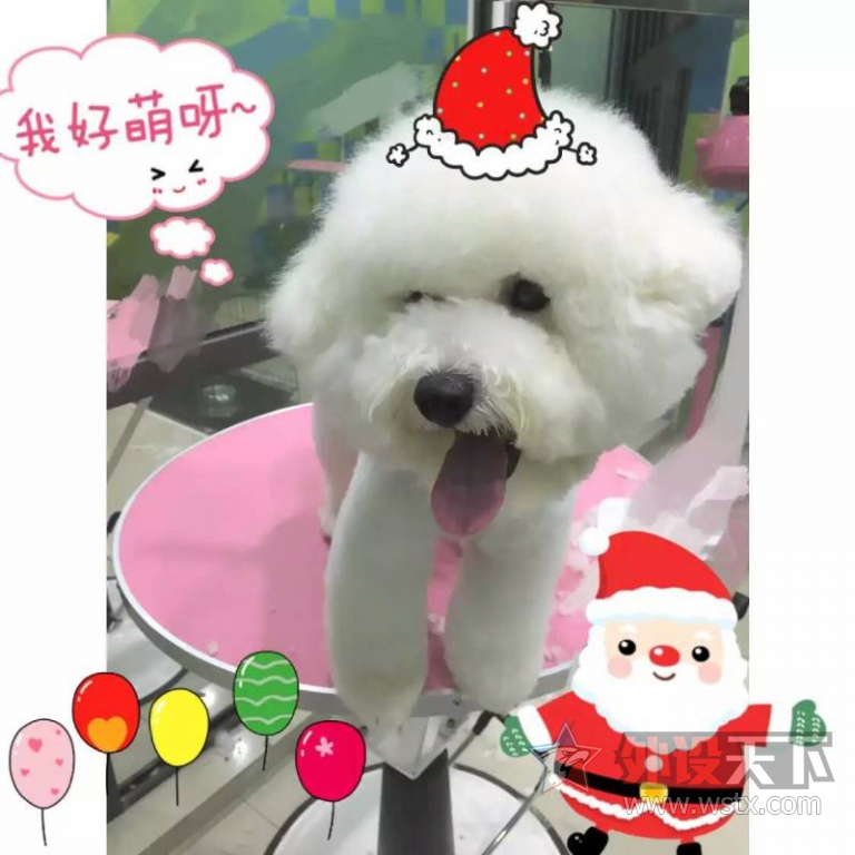 ��ɹ�ȳ�+���µ�һ��Ƥ��---���ճ���