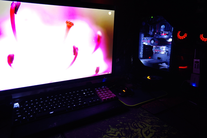 ������ר�á���Ҫ�����~~ ��ʵ�����Ƕ�һ��--------LuckyBird929