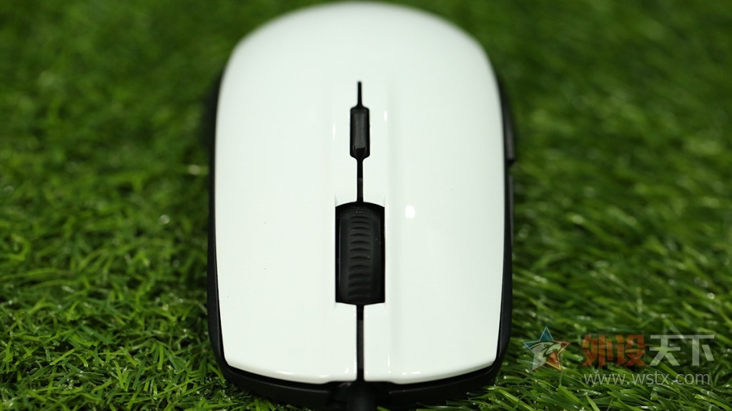 ���Rival 100 ������ɫ�汾ͼ��