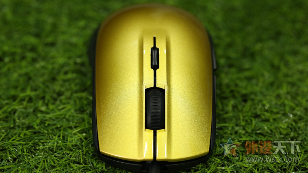 ���Rival 100 ������ɫ�汾ͼ��