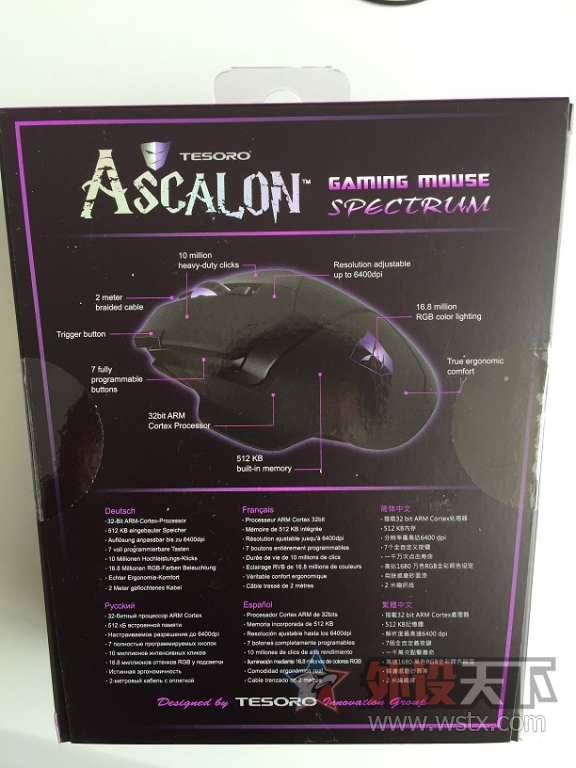 <TESORO><ASCALON>˹¡TS-H7Lò