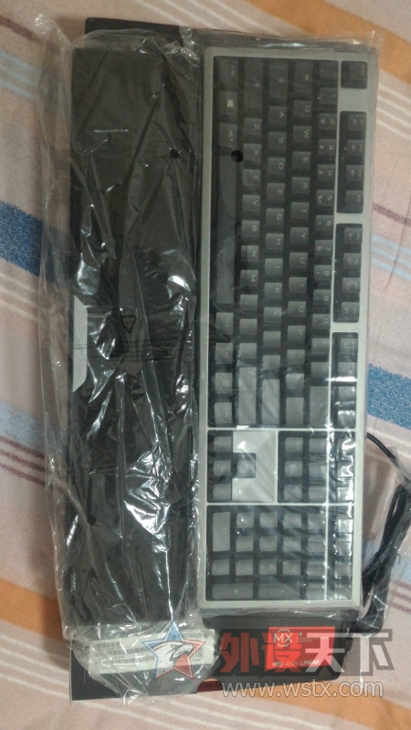 ���㶫�����ճ�һ�����裬MX6.0 ��٤700K ֥��MX780 ��ʿ��COLUD II~