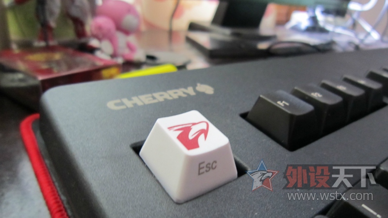 CHERRYӡ�󣭴���3000��̳��ñ���ҵ���������
