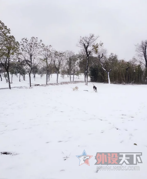 ������ЩС���桿 ���� �� ţͷ���ӵ���