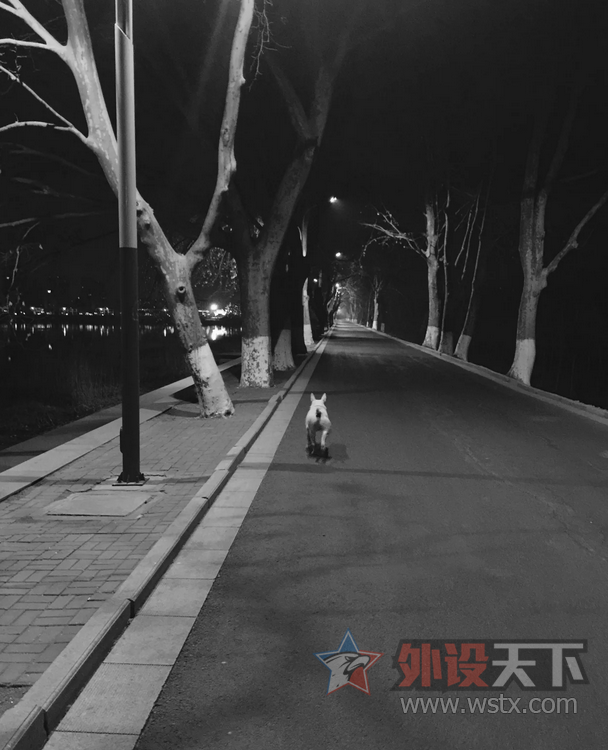 ������ЩС���桿 ���� �� ţͷ���ӵ���