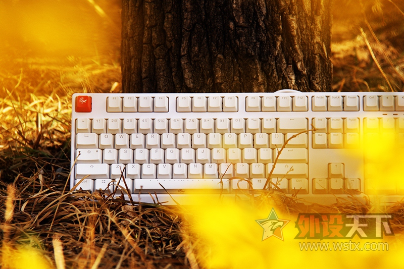 ����̤���������⡪��ħ��Ѽ2108S2 RGB ����ͼ��