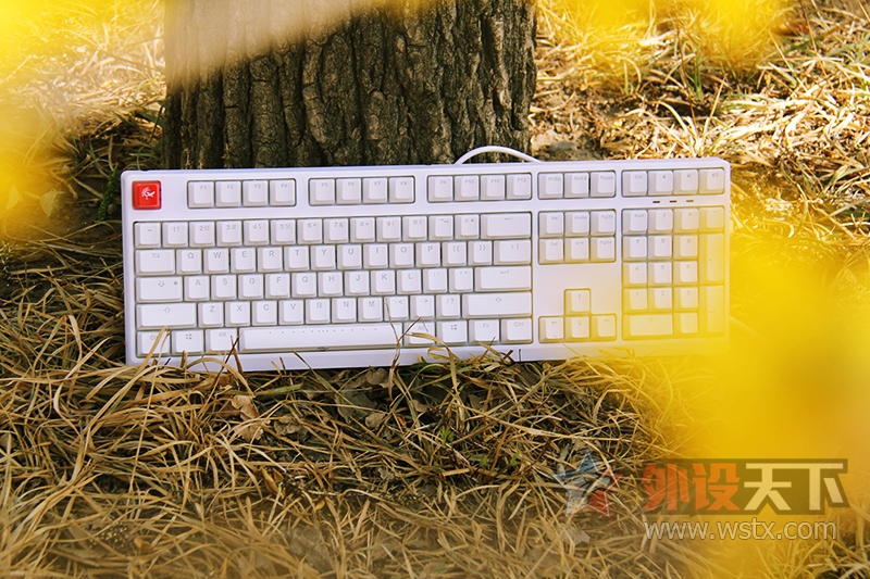 ����̤���������⡪��ħ��Ѽ2108S2 RGB ����ͼ��