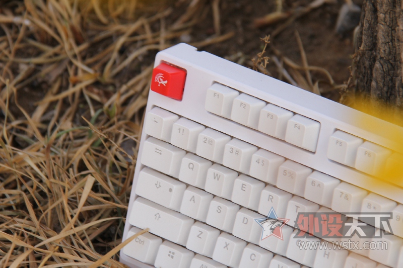 ����̤���������⡪��ħ��Ѽ2108S2 RGB ����ͼ��