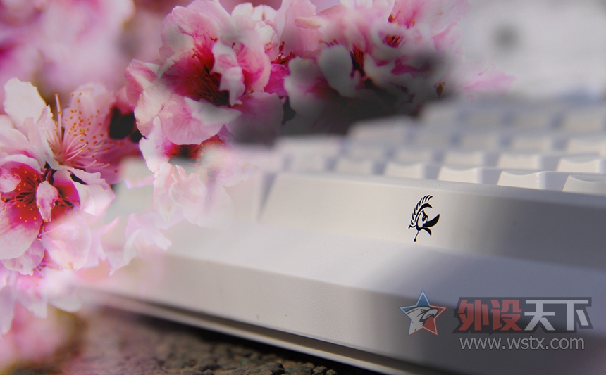 ����̤���������⡪��ħ��Ѽ2108S2 RGB ����ͼ��