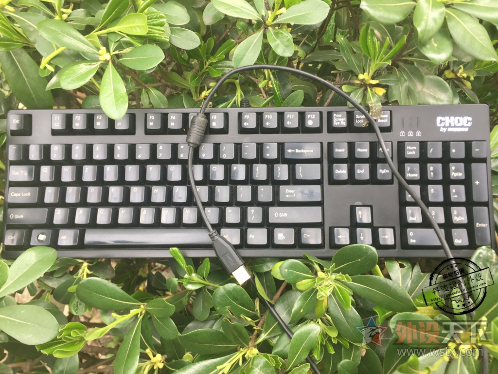 ���� �ھ�AK47 ӣ�Һ���  ŵ��CHOC ӣ�Һ����е����