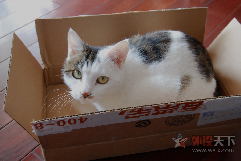 CODE 87��������̿��估������