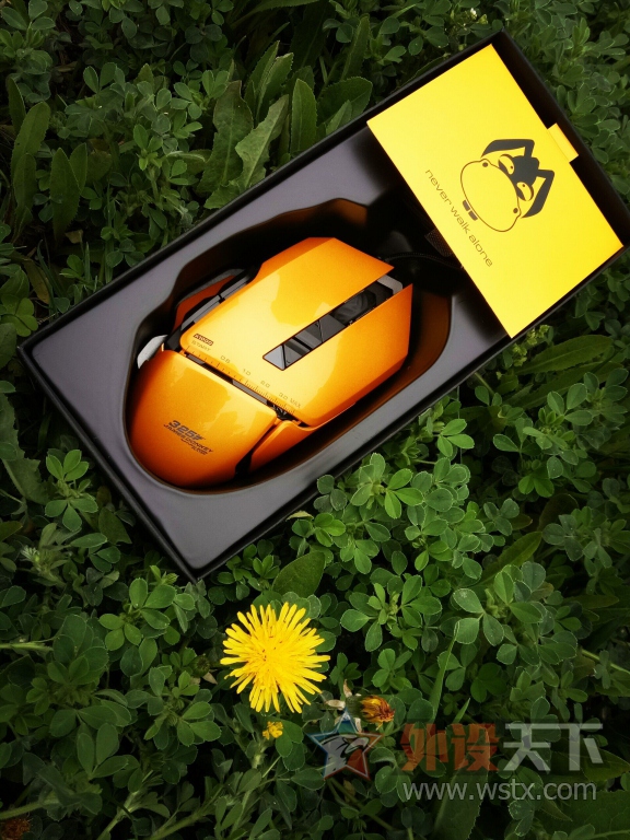 �����������ܡ�ж��ʯĥ�ļ�¿������325��Ϸ������ ----BY�ջ�����̬