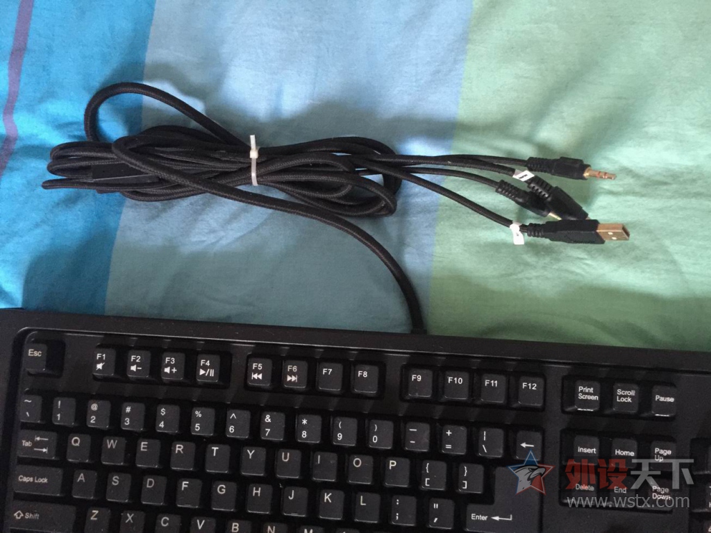 ������С IMG_0737.JPG