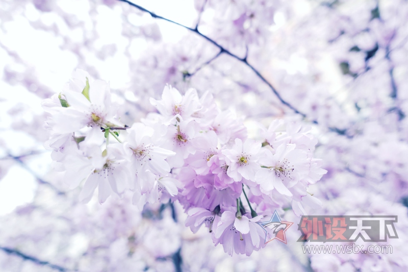 �����ⰻȻ�������ӡ����ó�ȥ�ŷ��ˣ���