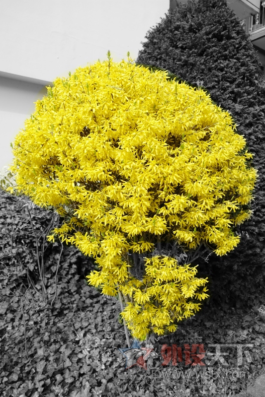 �����ⰻȻ�������ӡ����ó�ȥ�ŷ��ˣ���
