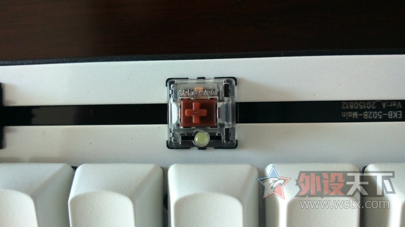 ���꾫������-MXX ����������ɫ������Ϸ��е��������