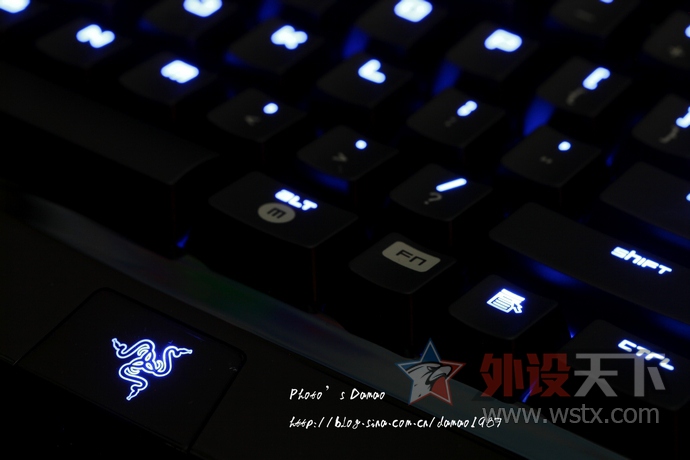 ���ߺڹѸ�֩���е���̽���֮·