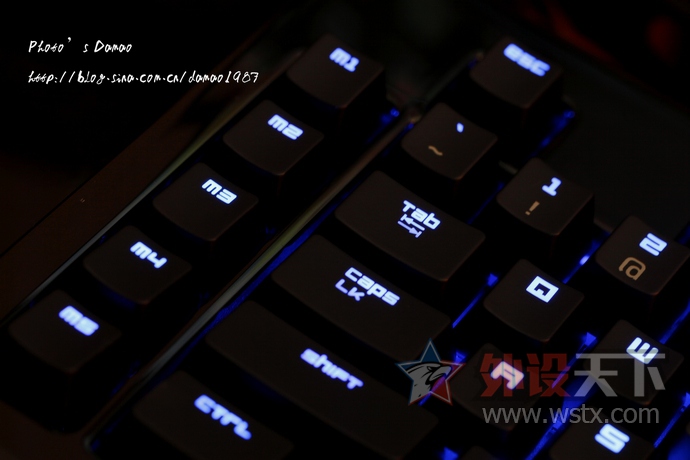 ���ߺڹѸ�֩���е���̽���֮·