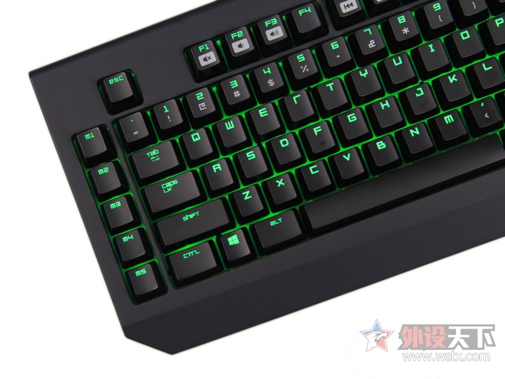 ���ߺڹѸ�֩���е���̽���֮·