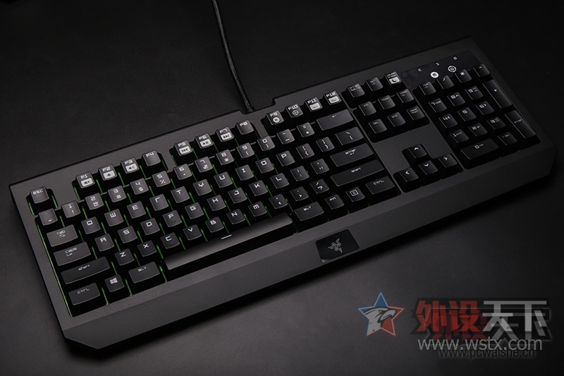 ���ߺڹѸ�֩���е���̽���֮·