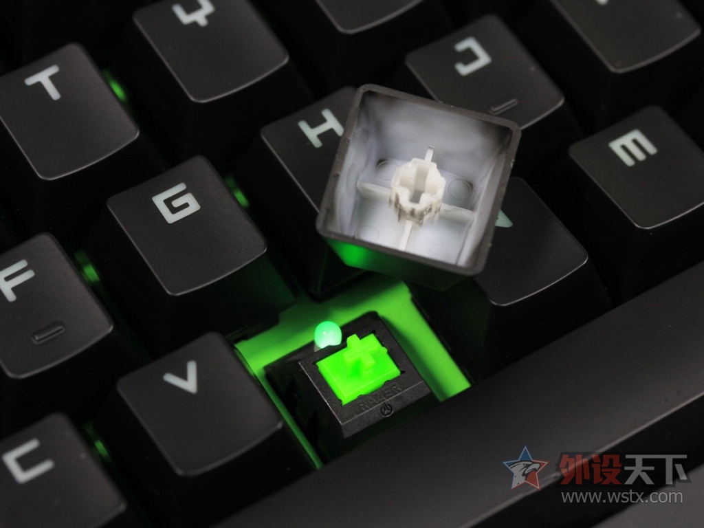 ���ߺڹѸ�֩���е���̽���֮·