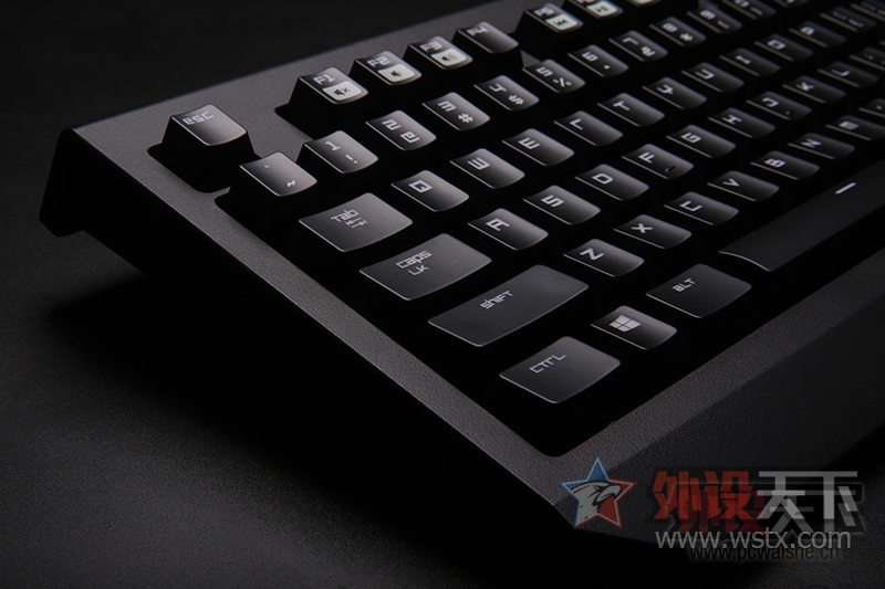 ���ߺڹѸ�֩���е���̽���֮·