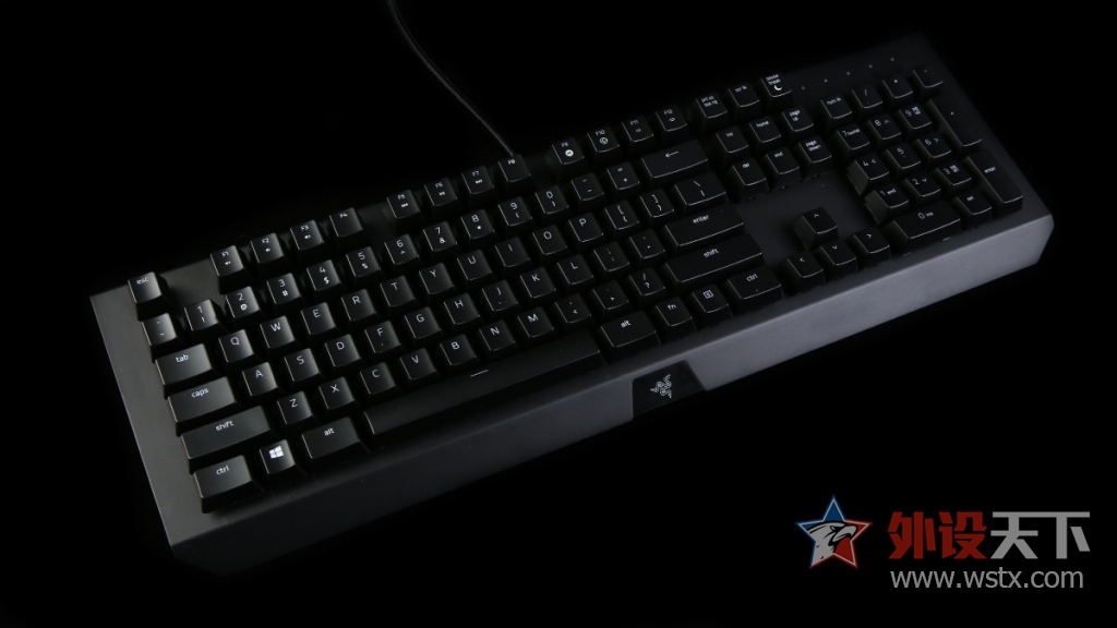 ���ߺڹѸ�֩���е���̽���֮·