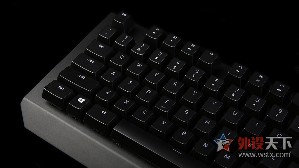 ���ߺڹѸ�֩���е���̽���֮·