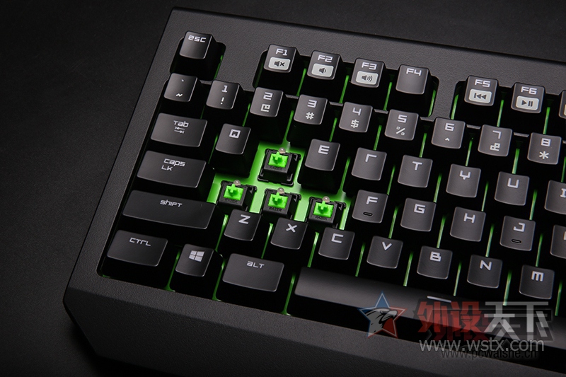 ���ߺڹѸ�֩���е���̽���֮·