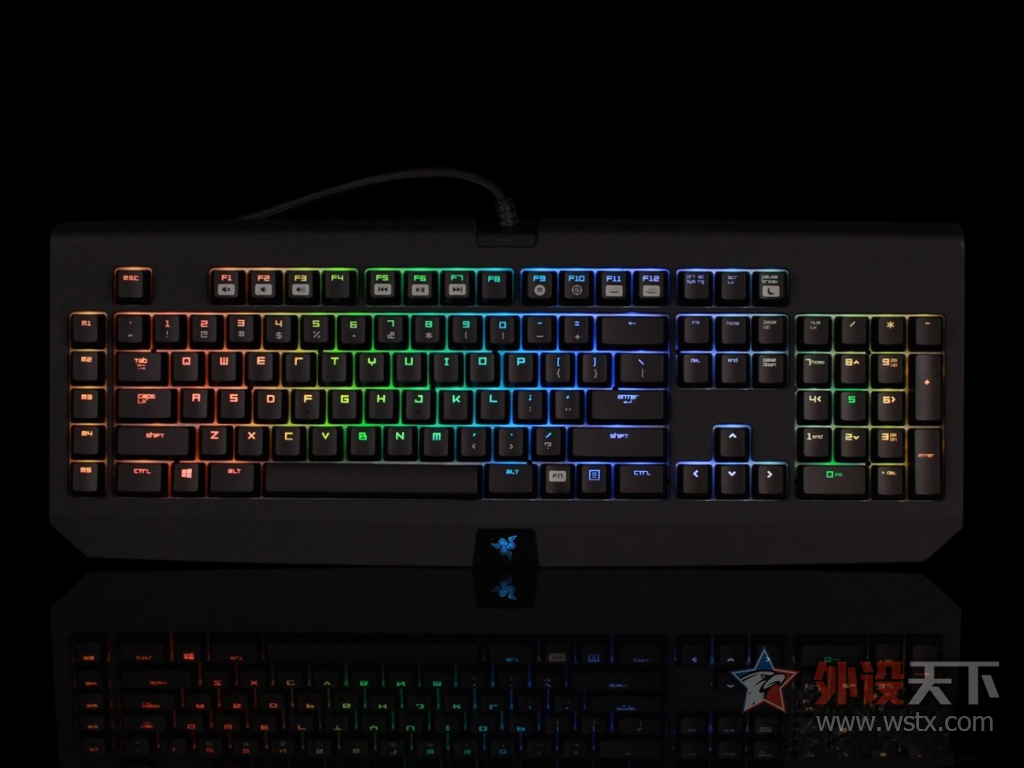 ���ߺڹѸ�֩���е���̽���֮·