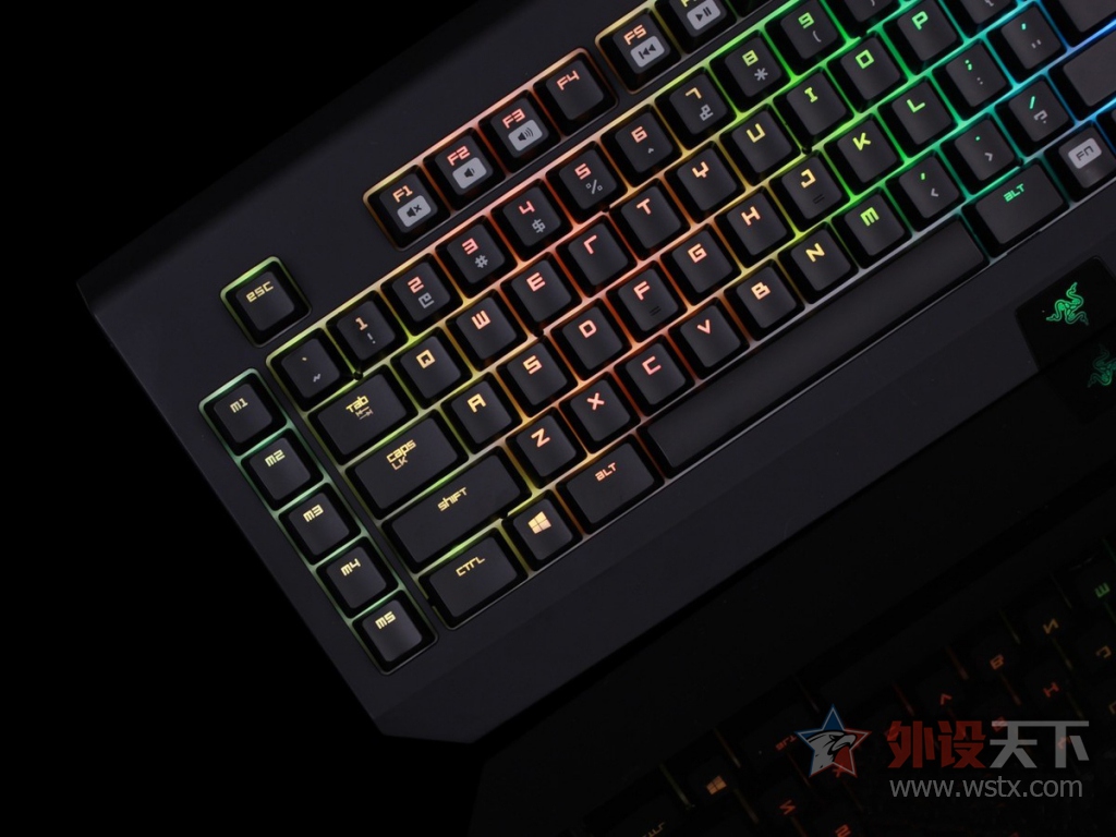 ���ߺڹѸ�֩���е���̽���֮·