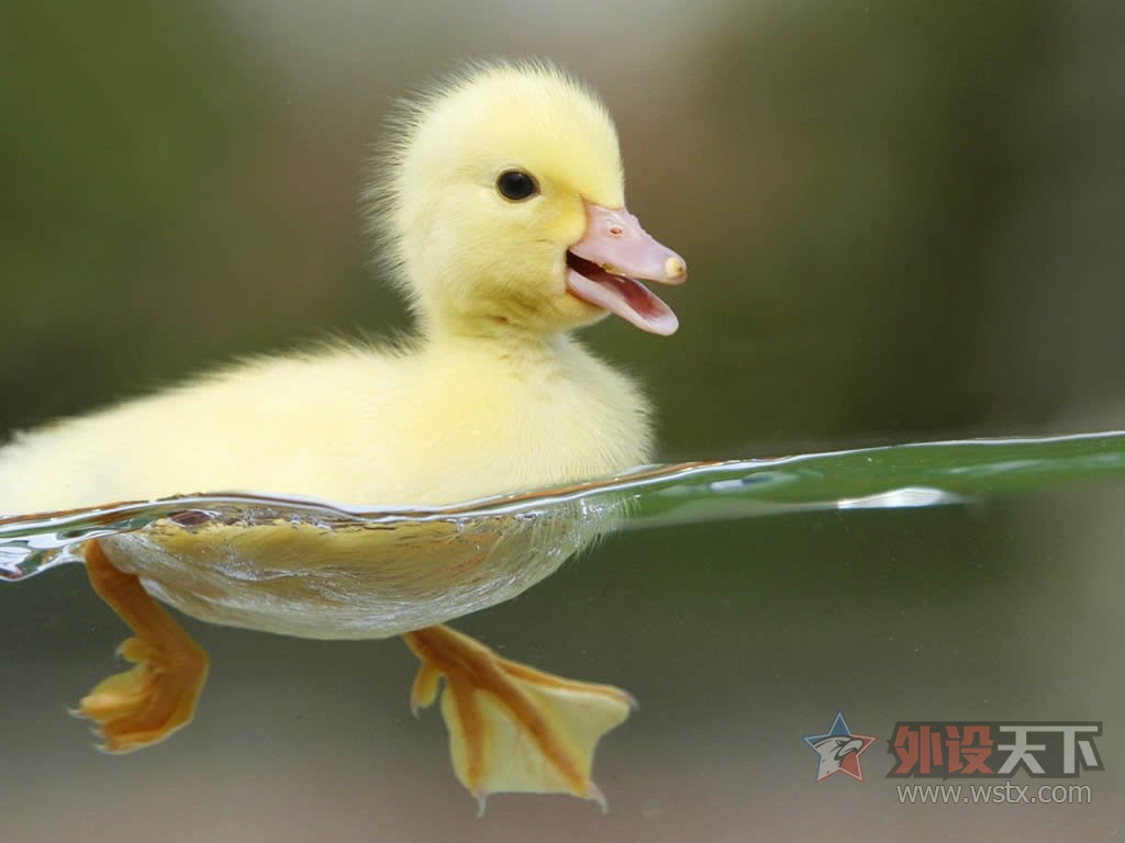 ���趯��Ƿ���ƪ����Щ�Զ��������Ĳ�Ʒ����